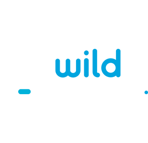 Logo of Wild Tornado casino